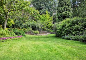Optimiser l'expérience du jardin à La Chapelle-Montmartin